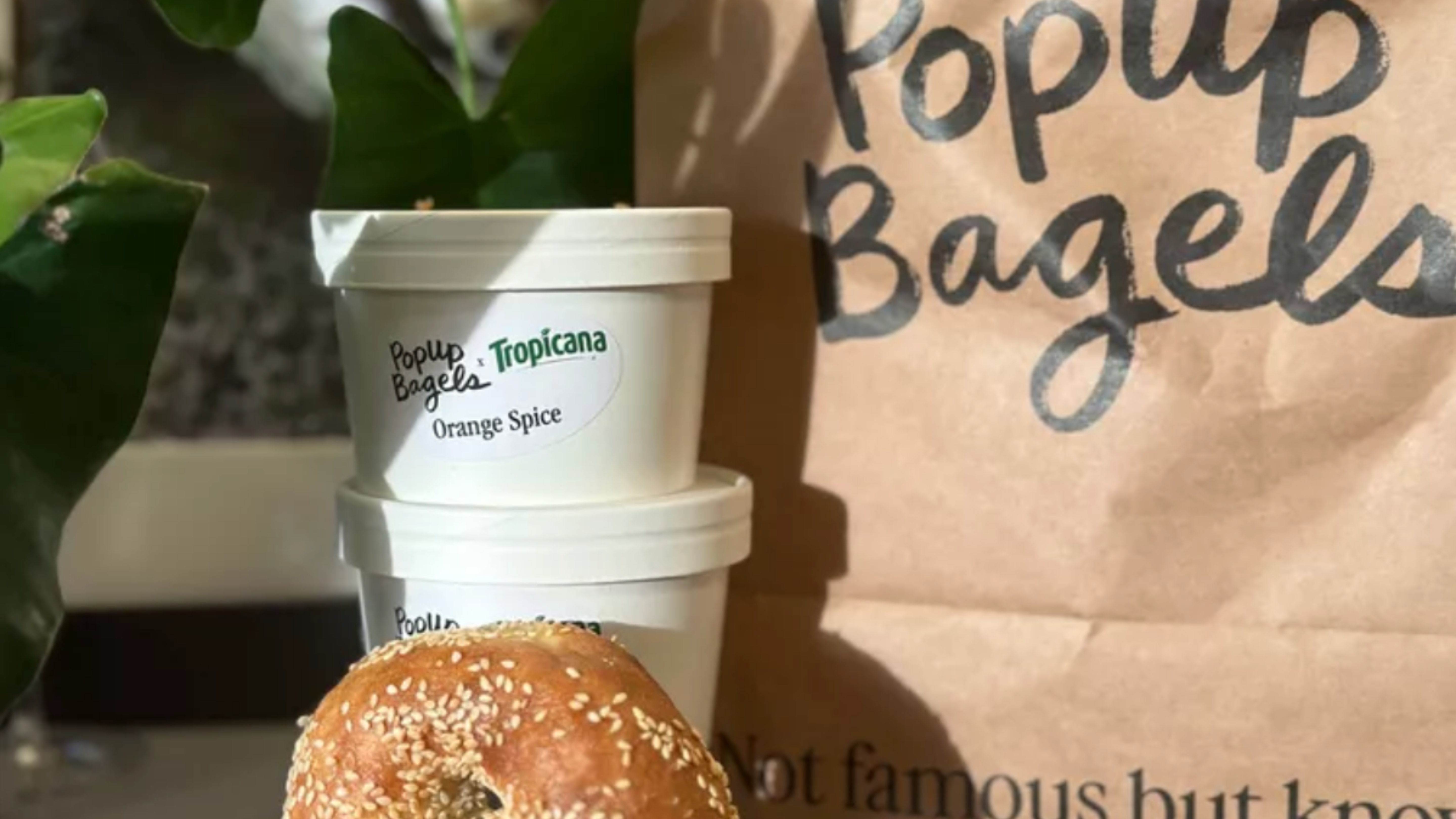 Popup Bagel's